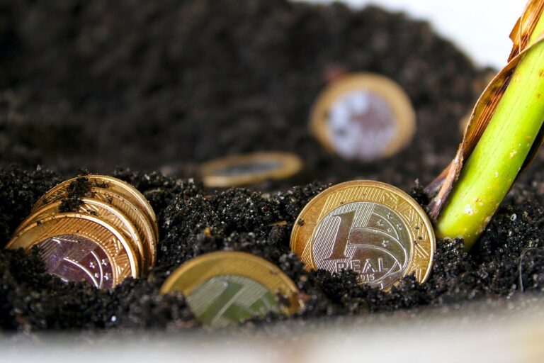 Strong Financial Foundation